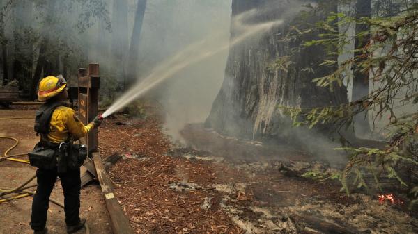 Firefighting foams contain toxic PFAS.…