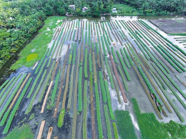 photo of 5 Ways Cities Can Become More Resilient to Climate Change: Study image