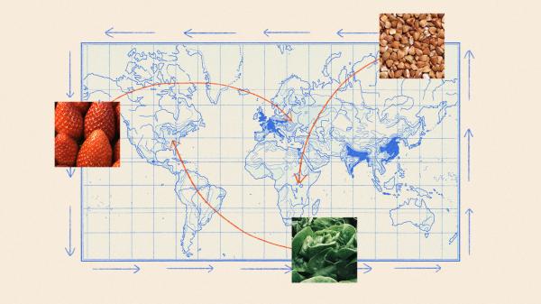 A new app details where your food comes…