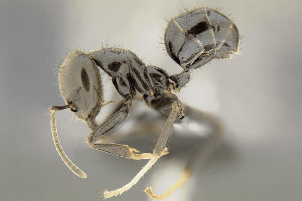 Novel DNA research shows massive native&hellip;