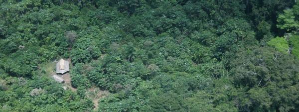Isolated tribes under threat as Peru…