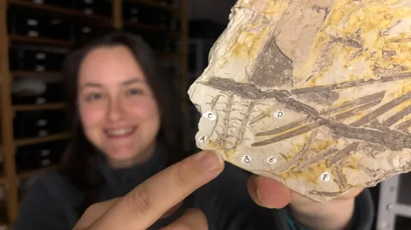 photo of Scientists just found rare spores inside a fossil older than dinosaurs image