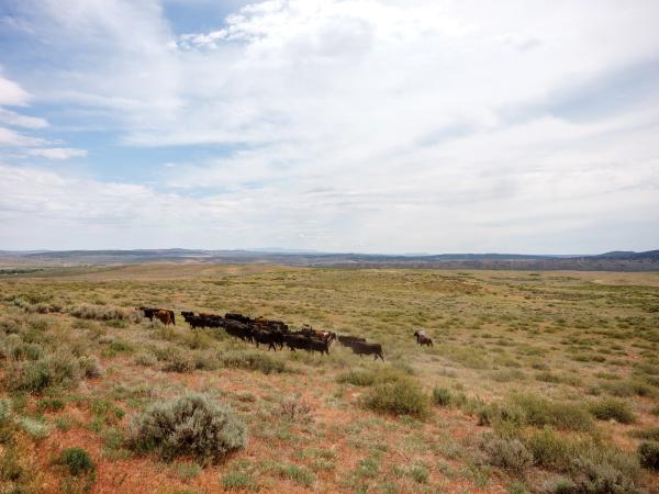 The wealthy profit from public lands,…