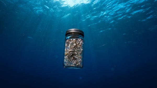 Deep-sea snails and mussels in Indian…