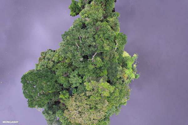 Governments must prioritize nature protection, former US…