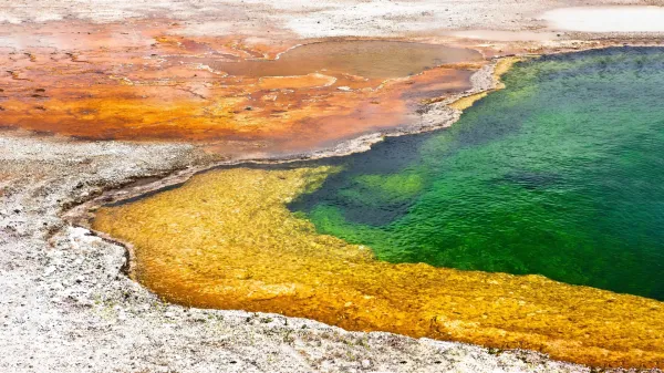 Japan’s hot springs hold clues to the…