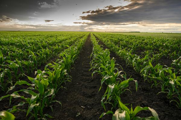 Federal review on weedkiller sparks backlash from&hellip;