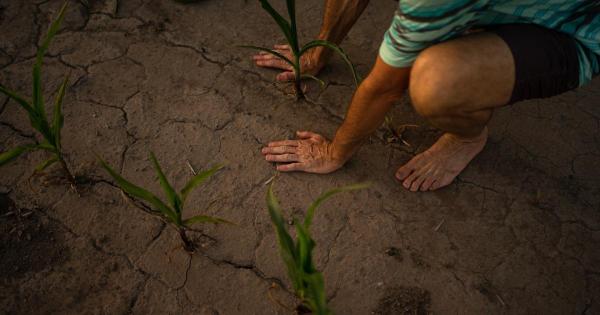 'We poison our soils for efficiency'