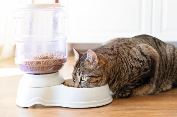 Cat foods contain toxic chemicals,&hellip;