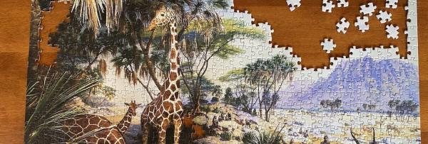 Conservation programs must embrace&hellip;