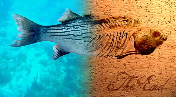 Why Is 1.5°C (2.7°F) Not Just An…