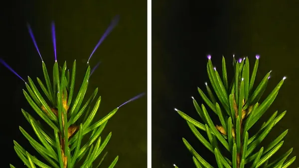 Scientists just captured trees glowing&hellip;