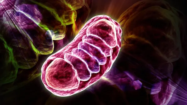 Scientists discover the nutrient that&hellip;