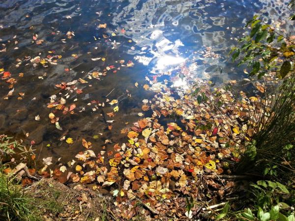 photo of National Ground Water Association & Other Associations Urge US EPA To Expedite Regulation Of PFAS image