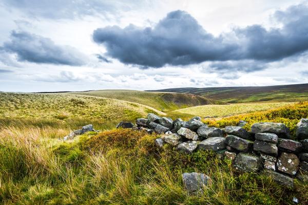 UK Creates New Nature Reserve to Protect…
