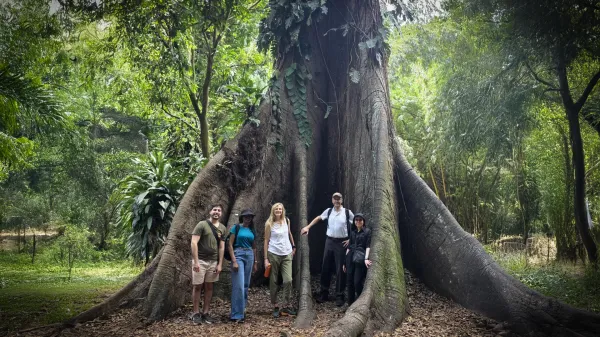 Africa’s forests have flipped from&hellip;