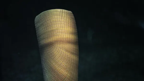 photo of Scientists just solved a 160-million-year fossil mystery “I’ve never seen anything like it” image