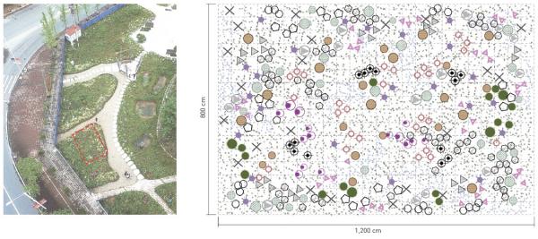 photo of Herbaceous planting for ecological restoration of urban land based on mechanisms of the assembly of plant communities image
