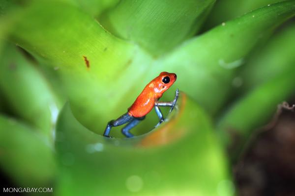 How rain can reveal what lives in…