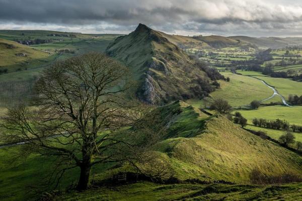 From beavers to bison: England’s…