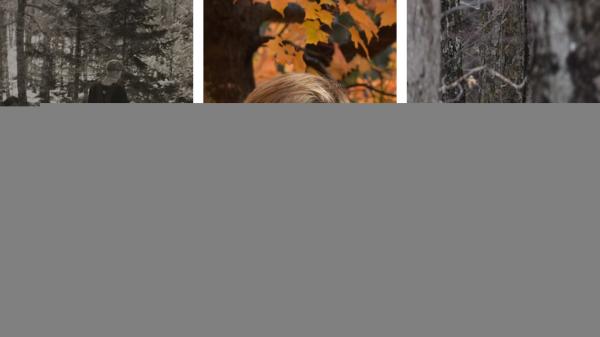 photo of Q&A: How climate change is impacting the maple syrup industry image