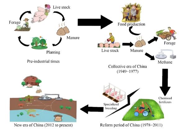 photo of Exploring the integration of crops and livestock in different historical contexts from ancient times to the present image