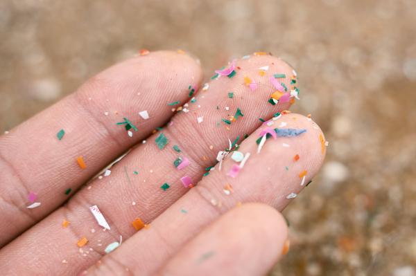 Five ways microplastics can harm your…