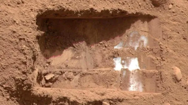 NASA study finds ancient life could&hellip;