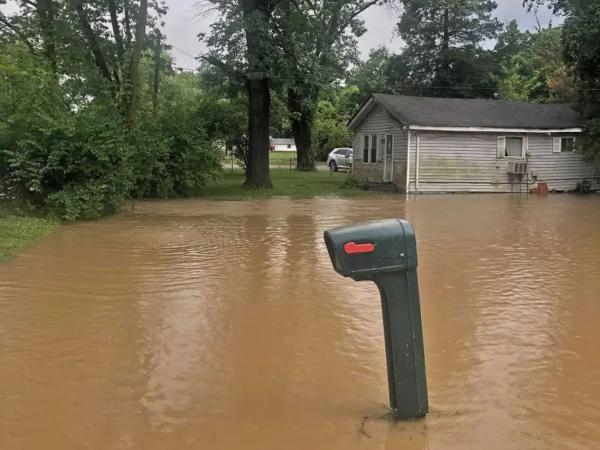 Black Illinois town lives with E. coli in water as feds cut…