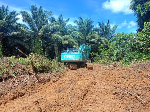 Palm oil expansion reignites decade-old…