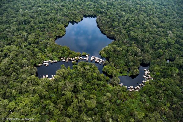 World Peatland Day honors a crucial&hellip;