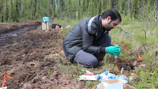 photo of Climate Crisis Could Change Permafrost Soil Microbes, With ‘Unknown Consequences’ for Arctic Ecosystems, Scientists Say image