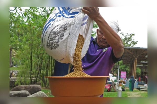 Malaysian farmers demand transparency…