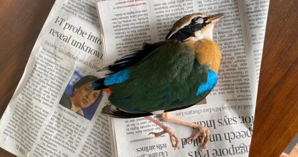 In India, few are tracking birds&hellip;