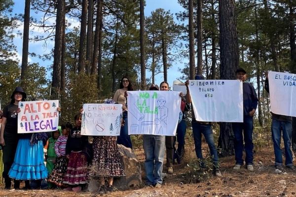 El crimen organizado desplaza cada vez&hellip;