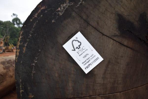 FSC to vote on new traceability rules…