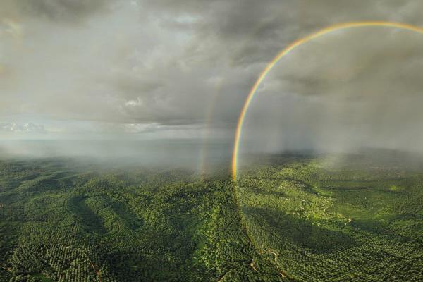 How can we make nature’s wellbeing…