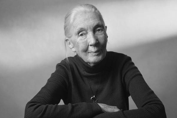 Jane Goodall, primatologist who taught…