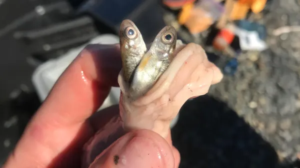 Warming waters are supercharging an&hellip;