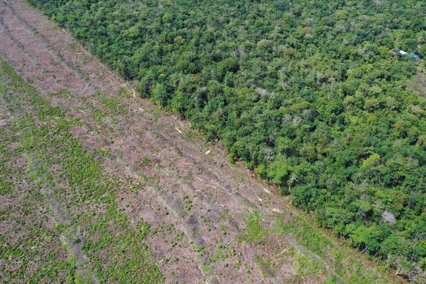 World Peatland Day: Protecting a crucial…