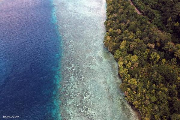 Three tracks to rescue 1.5°C: fossil…