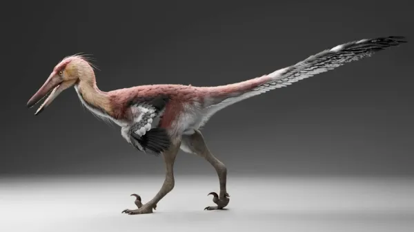photo of This newly discovered raptor may have hunted like a giant heron image