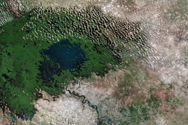 Ani Dasgupta watched wetlands tame…