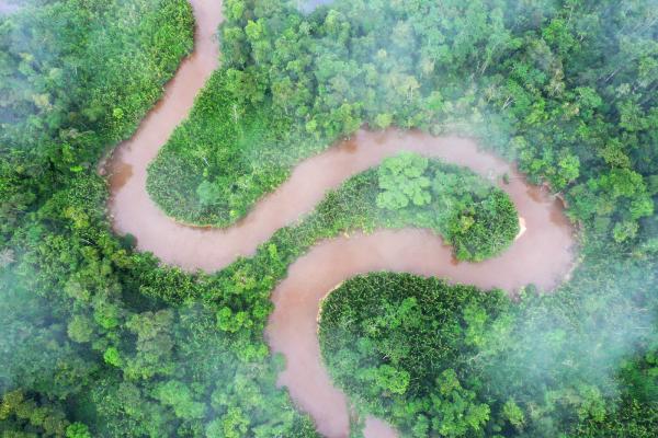 When abandoned conservation projects are counted as&hellip;