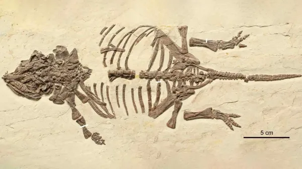 photo of These tiny dinosaur fossils fooled scientists for 20 years image