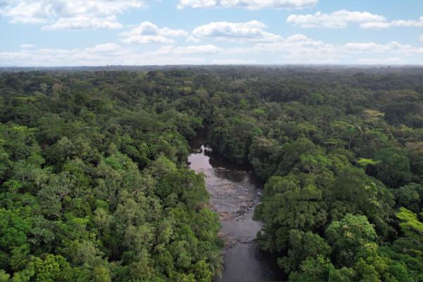 Liberia’s carbon market policy nears&hellip;