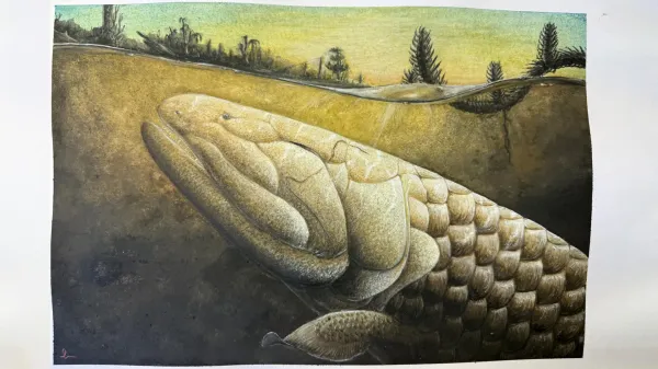 This prehistoric fish may explain how&hellip;