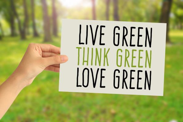 13 Green Tips That Can Save You Over $5,000 a Year