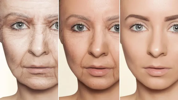 photo of Stanford scientists discover a seafood that can reverse signs of aging image