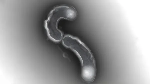 photo of One of Earth’s most abundant lifeforms has a fatal flaw image